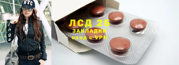 шишки Алексин