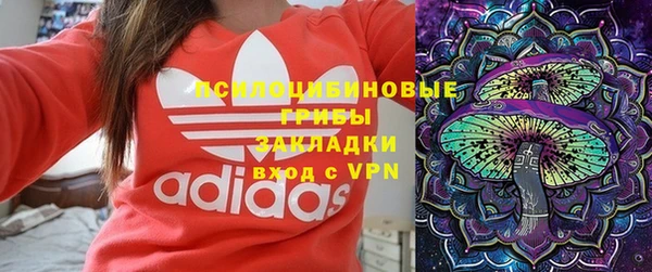 гидропоника Алзамай