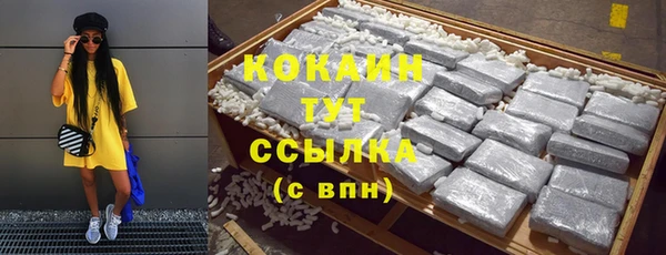 шишки Алексин