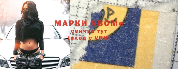 шишки Алексин