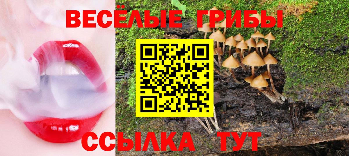 где можно купить   Галлюциногенные грибы GOLDEN TEACHER  Вход с VPN  Железноводск  Псилоцибиновые грибы MAGIC MUSHROOMS 