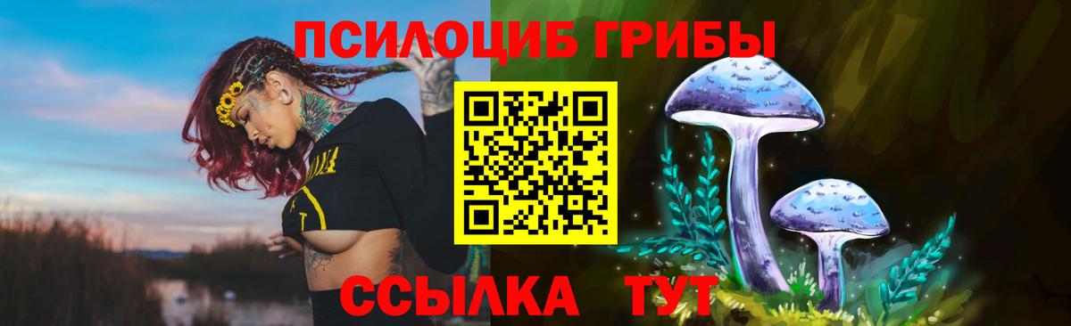 Псилоцибиновые грибы мухоморы Железноводск